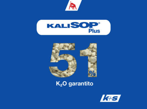 kalisop plus k+s