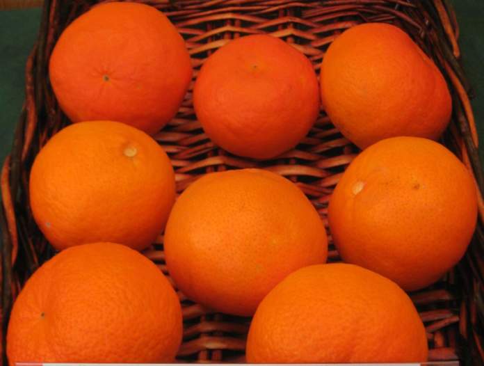 mandarino-simili